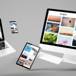 portofoliu de fotografii